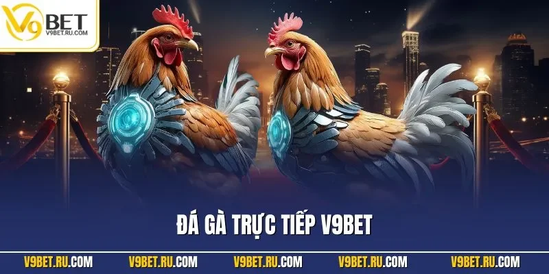 Đá gà trực tiếp V9BET